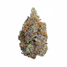 Ganja Man is a top-tier, high-THC cannabis strain known for its potent effects, rich terpene profile, and heavy-hitting high. This strain is crafted for experienced users who seek an intense, long-lasting buzz with a perfect balance of euphoria, relaxation, and mental stimulation.
